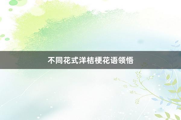 不同花式洋桔梗花语领悟