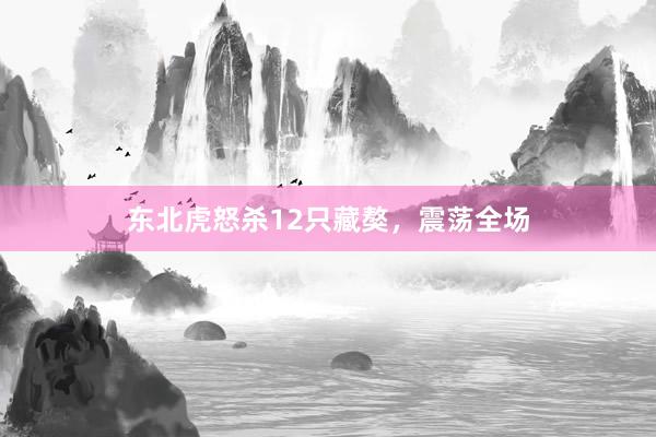 东北虎怒杀12只藏獒，震荡全场