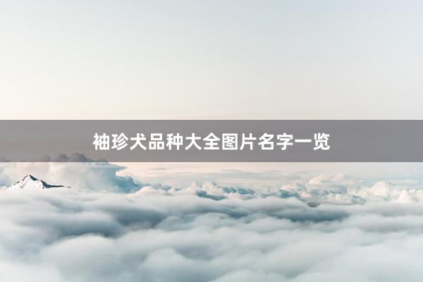 袖珍犬品种大全图片名字一览